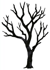 Fototapeta premium Bare black tree silhouette isolated on white background