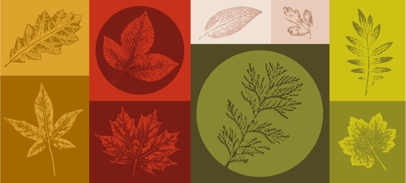 Boho leaf sketch art with fall autumn colors. Decorative print or natural background. Boho style print for card or invitation design.