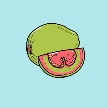 Fresh pink guava fruit vector illustration