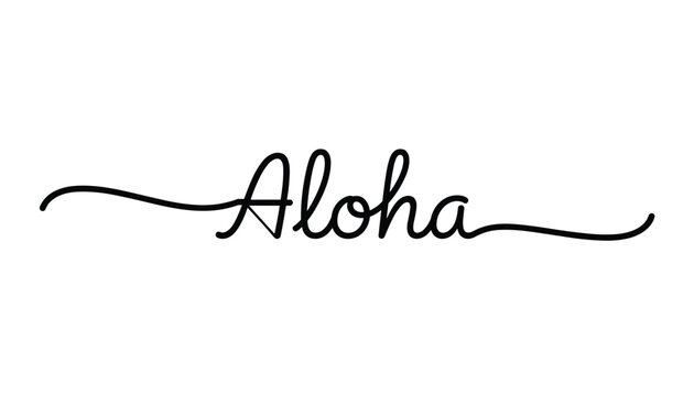 Elegant minimalist aloha cursive typography text with continuous decorative swirl lines on solid white background.