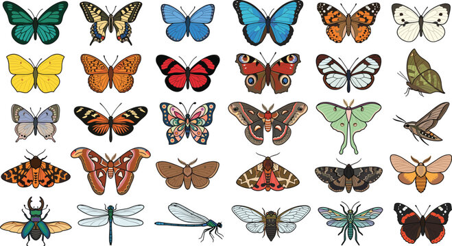 Colorful butterfly and insect collection featuring monarchs, moths, dragonflies, beetles, bees, and exotic winged species in vintage vector illustration