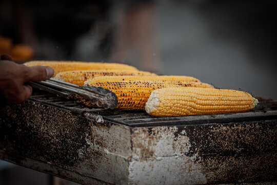 Fresh yellow corn cobs roasting on a hot barbecue grill, with light char marks forming on the kernels as a vendor handles the grilled corn using metal tongs during outdoor cooking.