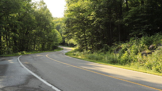 Winding asphalt road with a solid double yellow line curving through a dense green pine forest in Mauricie, Quebec, Canada, during summer. Cyclo tourism.