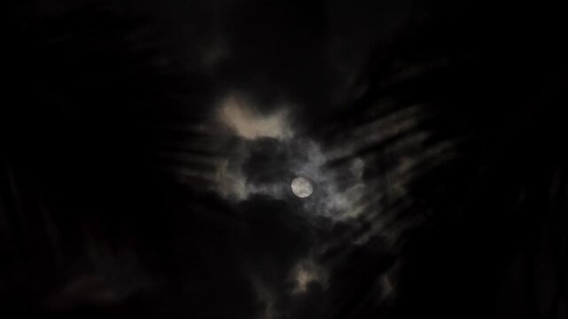 Full moon shining behind moving dark clouds and palm tree leaves at night.