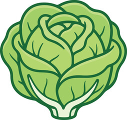 Obraz premium Fresh Green Cabbage Head Icon