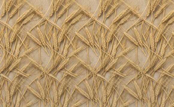 Seamless wheat pattern on textured burlap background, agricultural crop design element for rustic food packaging, organic farming theme and autumn harvest concept vector