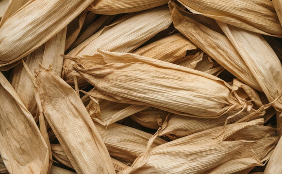 Dry corn husks texture background for cooking traditional tamales and autumn crafts