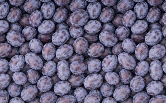 Fresh ripe purple plums background texture top view, delicious organic fruit pattern for healthy food packaging and agricultural design concepts