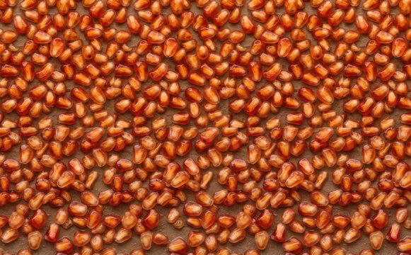 Fresh red pomegranate arils background texture closeup for healthy food design and organic nutrition concepts