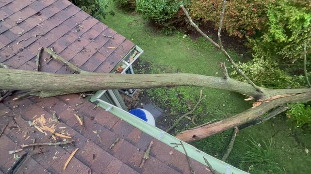  Dramatic Pan of a Dead Tree On Top of Roof of a House 2