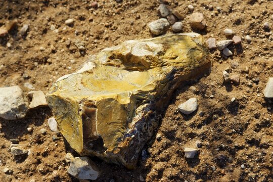 Jagged yellow flint stone fragment resting on dusty brown ground, detailed geological texture captured in natural bright sunlight, sharp edges of raw sedimentary rock specimen