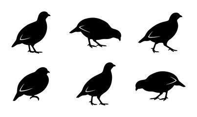 Fototapeta premium Six Black Quail Silhouettes, Vector Icons for Wildlife and Hunting Graphics