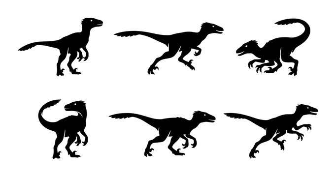 Dinosaur Silhouette Set, Velociraptor Poses, Prehistoric Creature Vector Graphics, Jurassic Era Icons