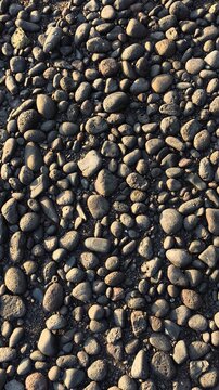 Natural dark stones pattern textured background under low warm sunlight
Top view of black volcanic stones and pebbles on a beach in warm sunlight