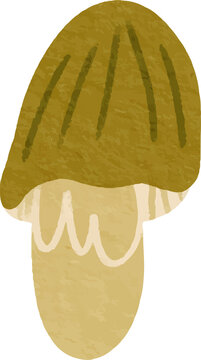 Hand drawn mushroom illustration with textured effect