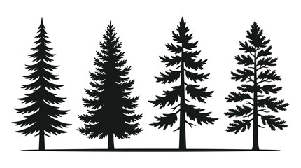 Black coniferous tree vector silhouettes collection. Pine, spruce, and fir tree shapes. Flat design forest elements for nature and landscape illustrations. isolated on White Background Halloween © sejanahamed