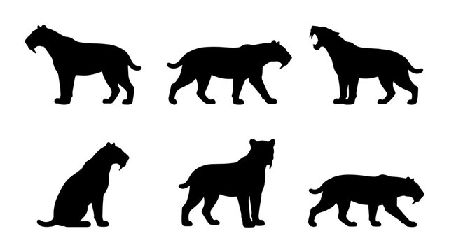Sabertooth Tiger Silhouettes, Prehistoric Cat Icons, Extinct Animal Vector Set, Wild Predator Poses