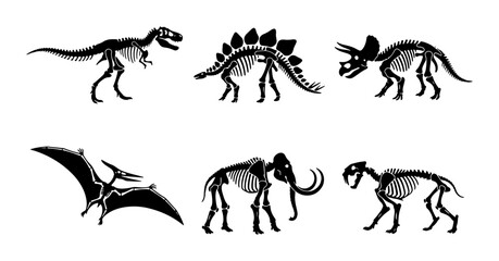 Dinosaur Skeletons Collection, Prehistoric Animal Fossils, Ancient Reptile Anatomy Vector Set © Tariqul