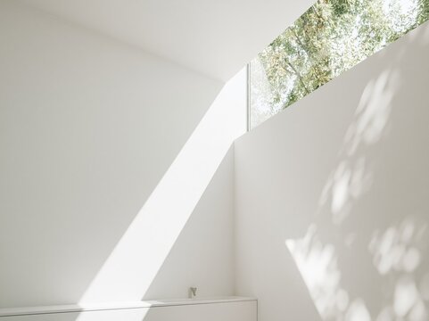 Minimalist interior with natural light streaming through a high window, casting shadows of trees