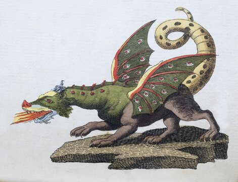 Dragon, hand-coloured copperplate engraving from Friedrich Justin Bertuch's picture book for children, Vienna 1801