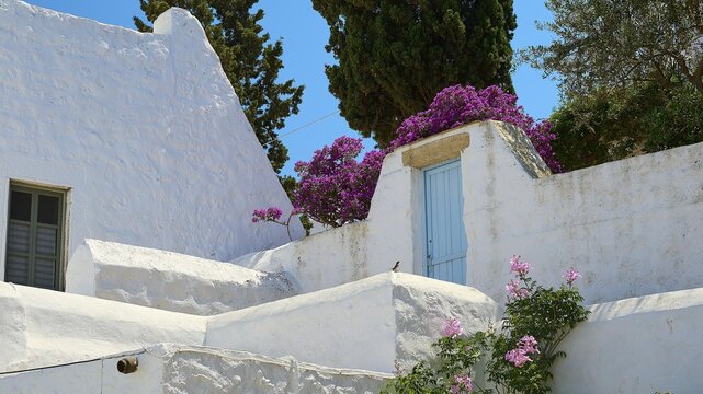 White building with bright bougainvillea flowers and blue door in a Mediterranean landscape, Chora, Old Town, Patmos, Dodecanese, Greek Islands, Greece