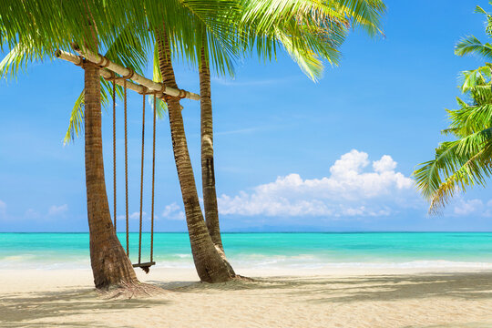 sea ​​coast with sandy beach, rope swing on coconut palm. concept of beach holiday at resort