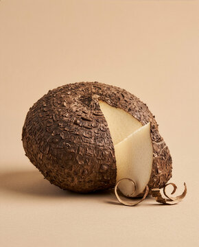 Fresh Gadung Wild Yam Tuber with Textured Skin, Raw Dioscorea Root Vegetable on Beige Studio Background