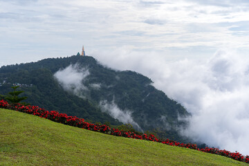 Obraz premium Landscape view of Phu Thap Boek with lawn garden red flower to nature green glass and Wat Pa Phu Thap Boek Temple pagoda background on high hill top mountain and fog mist with white clouds in Thailand