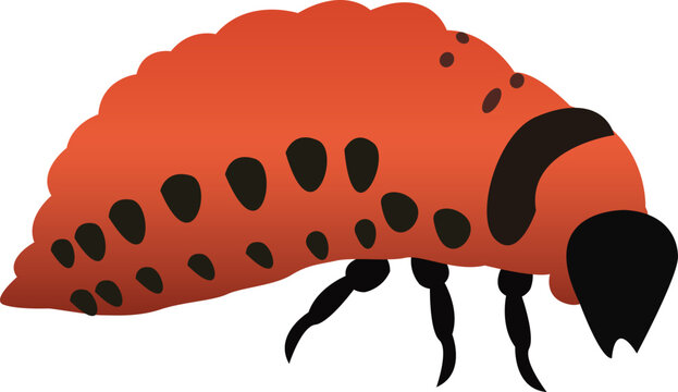 This insect vector illustration is suitable for educational materials, biology, entomology, nature-related projects, and scientific publications.
