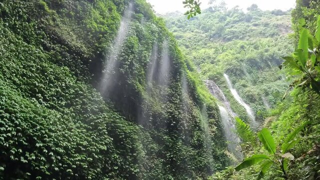 Footage of beautiful view of Madakaripura waterfalls the tallest waterfalls in Java island and second tallest waterfalls in Indonesia.