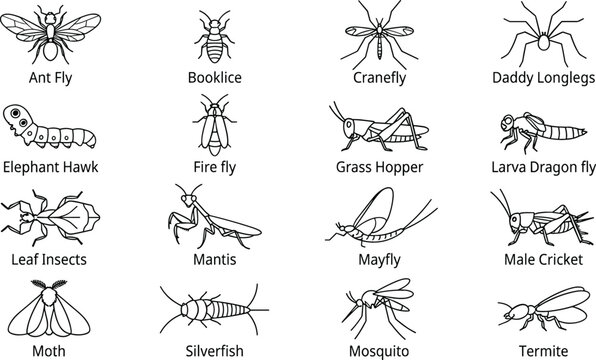  Insects and bugs line art icons set with mantis mosquito grasshopper cricket moth termite and spider elements