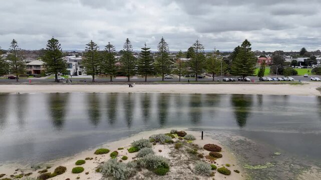 Aerial view of the Altona foreshore and Esplanade lined with Norfolk Island pines,&nbsp;&nbsp;calm shallow waters, coastal beach and residential properties or waterfront homes. Melbourne, Victoria, Australia