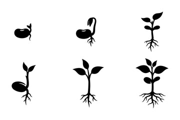 Fototapeta premium Plant Growth Stages Vector Icons, Seedling Development Sequence, Botanical Life Cycle Illustrations, Black and White Silhouette Set