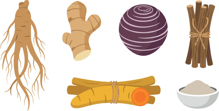 Traditional Herbal Medicine Ingredients Vector Set Featuring Ginseng Root Ginger Turmeric Licorice Sticks Round Tuber and Organic Powder Bowl