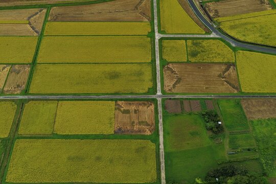 Aerial drone photo of rice paddies and farmland in Iga, Mie, Japan