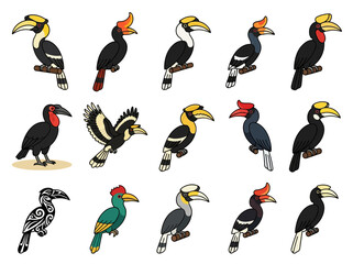 Diverse Hornbill Bird Vector Illustration Set © Desti