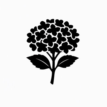 Minimalist black and white hydrangea flower illustration isolated on a white background for graphic design projects