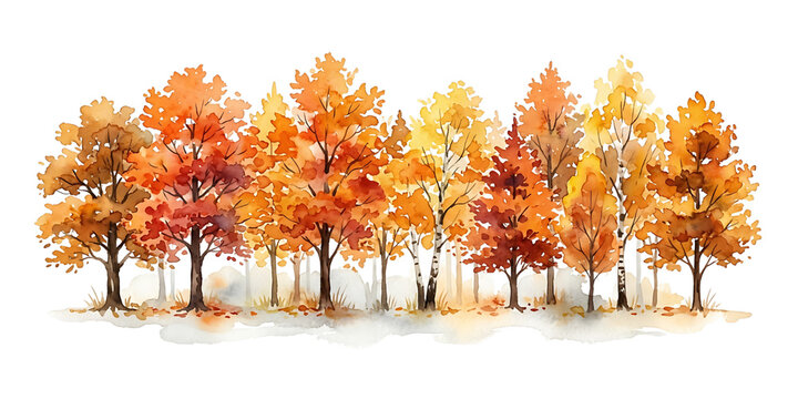 Watercolor autumn forest trees isolated on transparent background