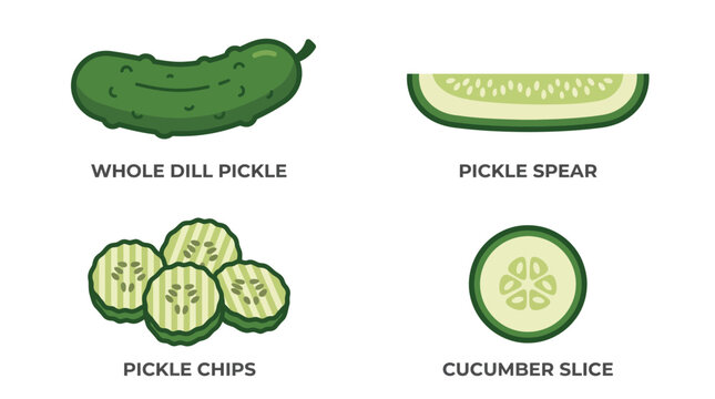 Green pickle and cucumber slices vector set