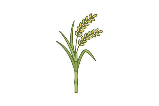 Rice Plant Flat Vector Illustration