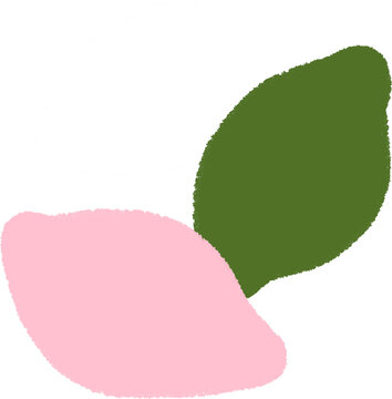 송편, 떡, 추석, 디저트, mochi
