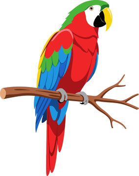Colorful Macaw Parrot Perched on a Branch.