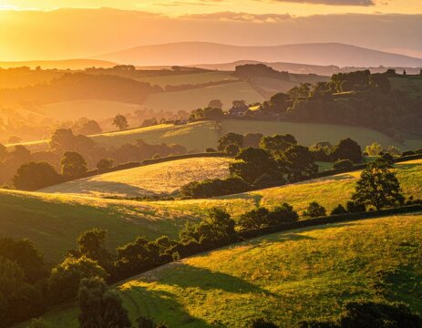 Rolling hills bathed in golden sunset light.