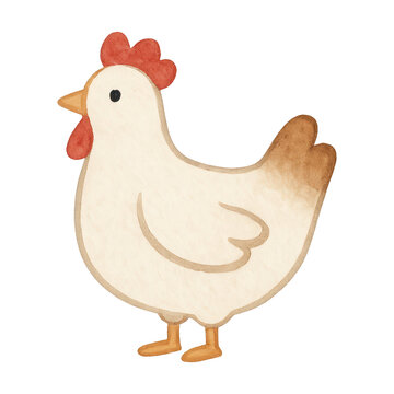 PNG Cute watercolor chicken illustration.