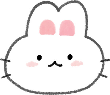 Rabbit, face, white, animal, baby