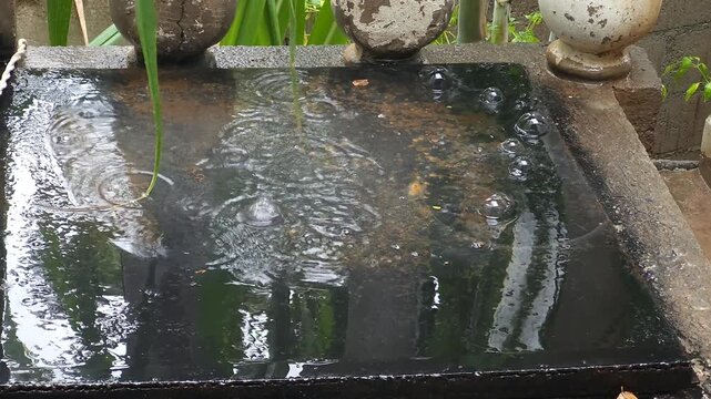 Rainwater Falling and Splashing Creating Bubbles on Water Surface