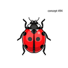 Fototapeta premium Cute Ladybug Isolated on Transparent Background - Vector Illustration