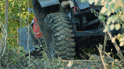 Fototapeta premium Close up of rugged off road tire caked in mud, wedged in dense forest undergrowth. Natural daylight highlights texture of tread surrounding greenery. Suggests adventure, challenge, outdoor racing