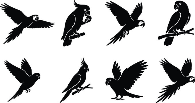 Parrot silhouette vector set featuring flying macaw cockatoo cockatiel perched tropical exotic bird icons