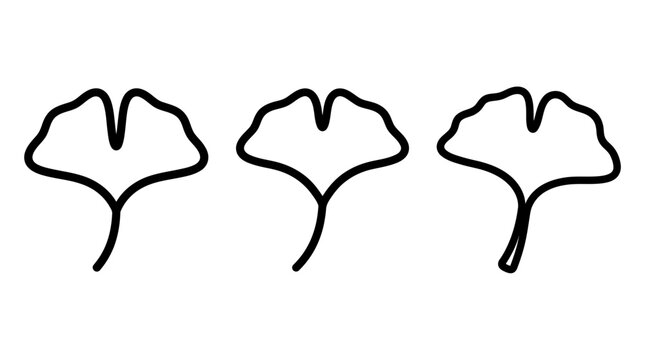 Ginkgo biloba leaf outline icons set botanical vector illustration for logo design and branding